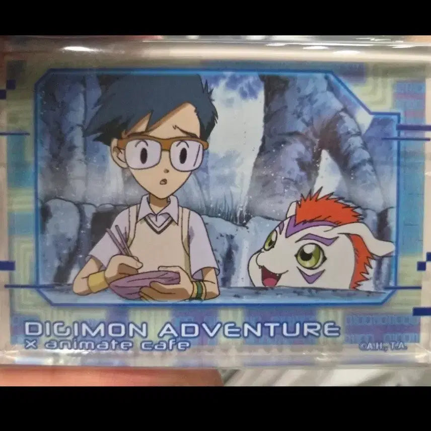 [BUNJANG] Digimon Animate Acrylic Block / 애니메이트 디지몬 아크릴블록 교환