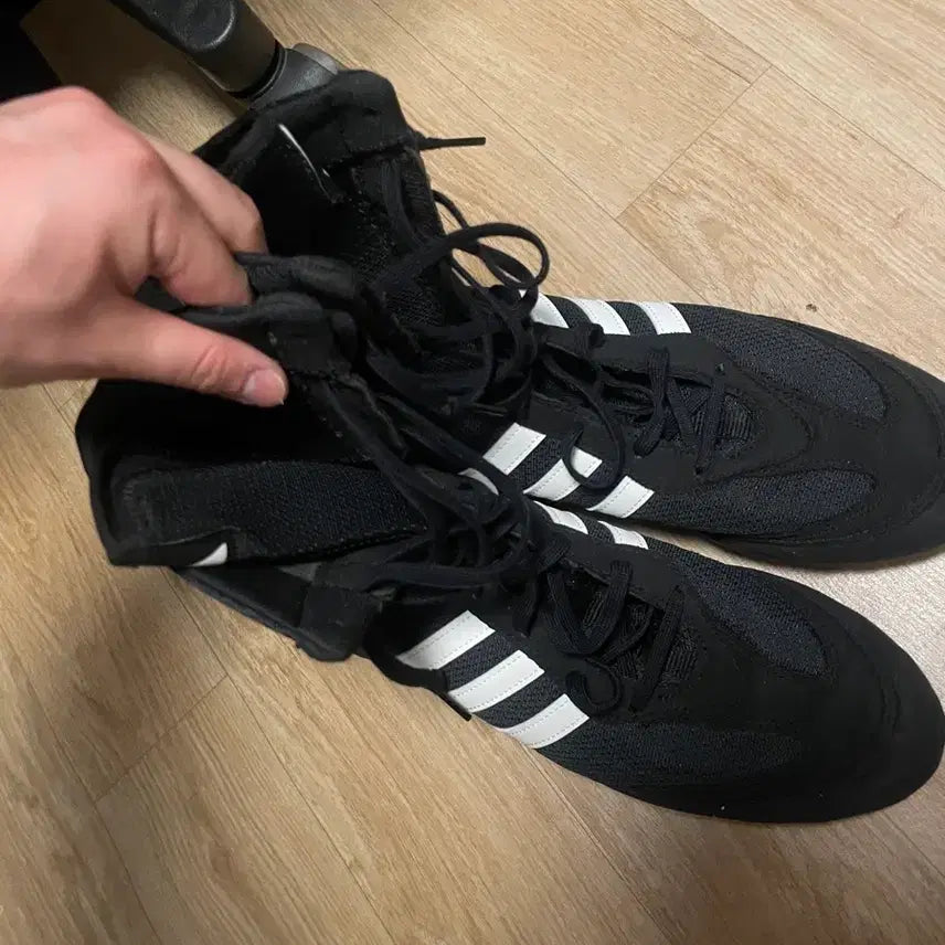 [BUNJANG] Adidas Hog Boxing Shoes JP 280 CN 270 / 아디다스 호그 복싱화 jp280 cn270