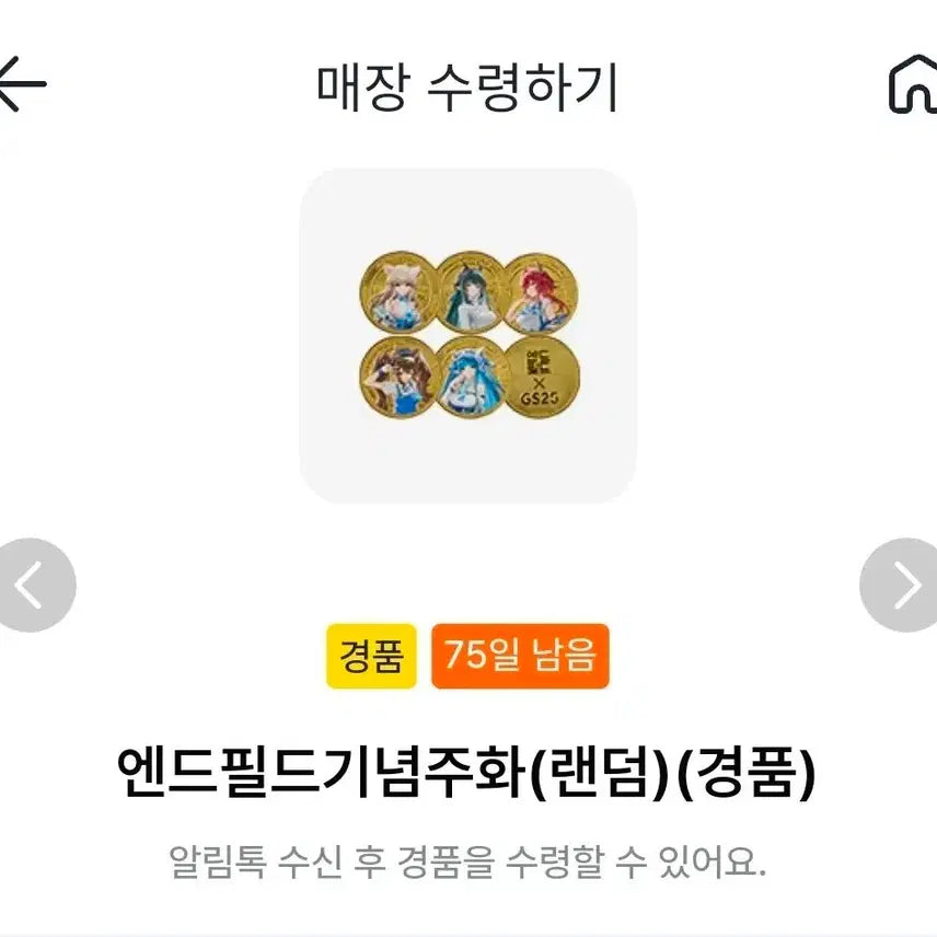 [BUNJANG] Endfield Commemorative Coin (Random) / 엔드필드 기념 주화 (랜덤)