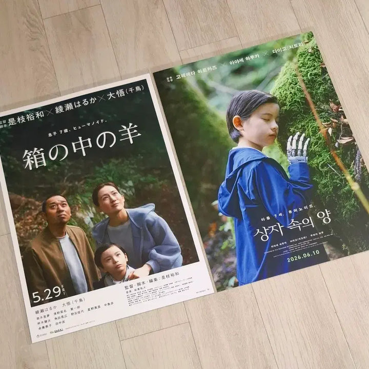 [BUNJANG] Sangja Sogui Yang A3 Posters Bundle Set / (2종일괄) 상자속의 양 포스터2종 일괄판매