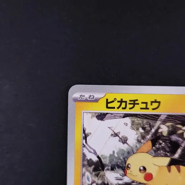 [BUNJANG] Pokemon TCG Pikachu Start Deck 100 Battle Collection Japanese Edition / 피카츄 스타트덱100 배틀컬렉션 포켓몬카드 일본판 일판