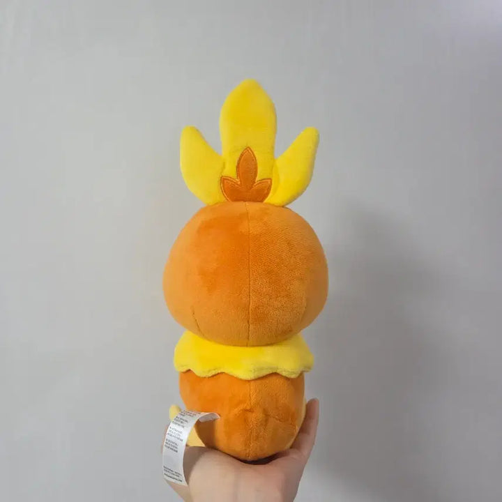 [BUNJANG] Official Pokemon Torchic Medium Plush Doll / [정품] 포케센 아차모 중형 누이 인형 포켓몬