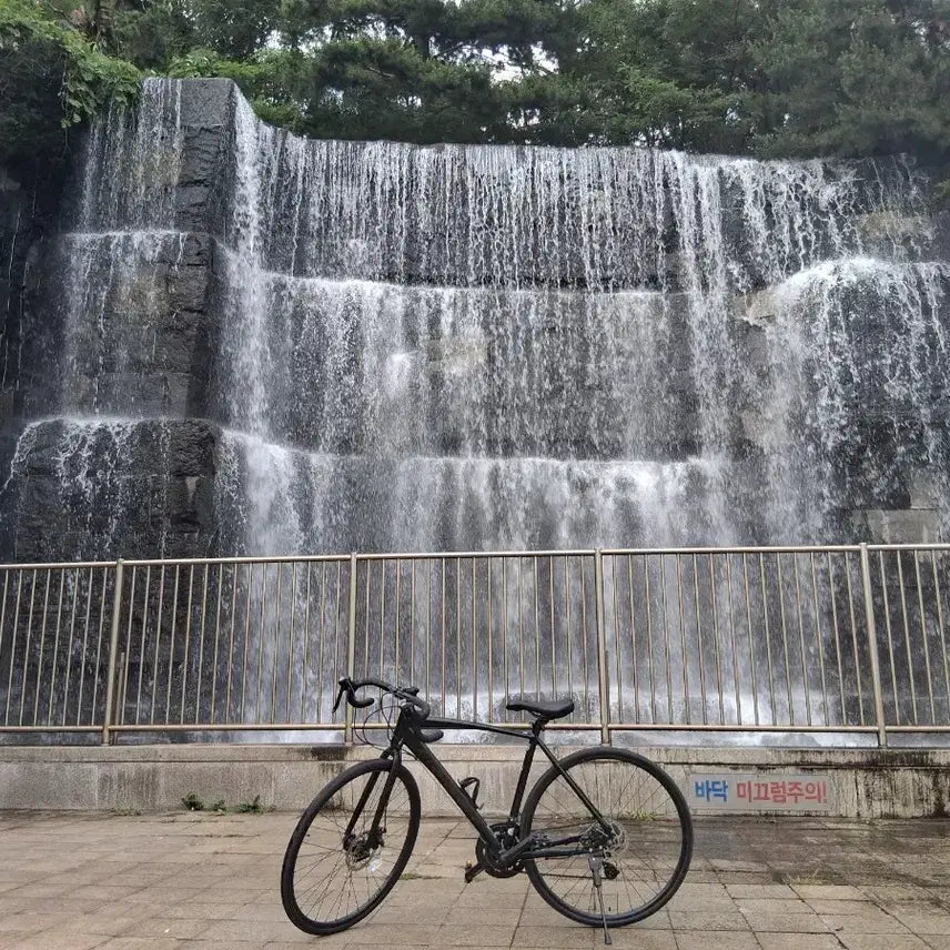 [BUNJANG] 2021 Fraser Road Bike (14-Speed Disc Model) / 2021 프레이저 로드 자전거 (14단 디스크 모델)