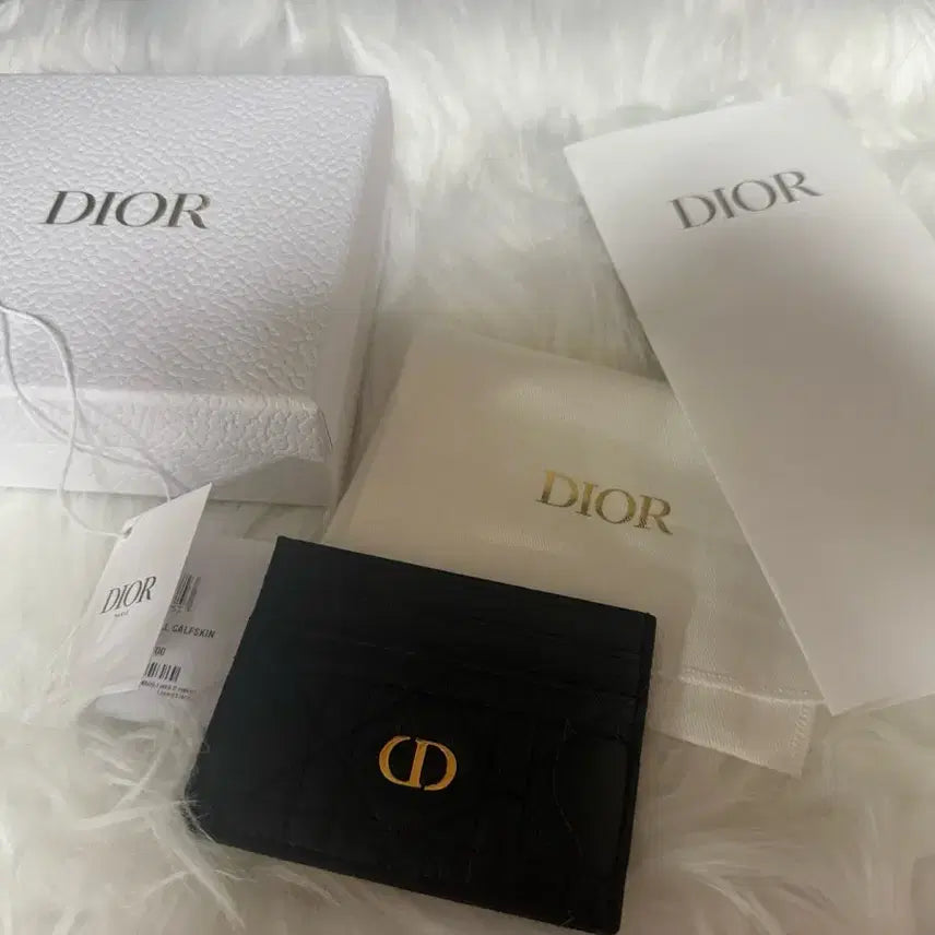 [SOLD OUT] 디올 Caro Freesia 카드 지갑 DIOR