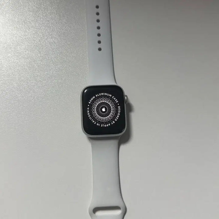 [BUNJANG] Apple Watch SE 44mm (Battery Health 83%) / 애플워치se 44mm 배성83