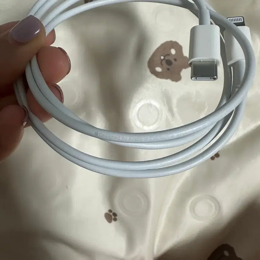 [BUNJANG] Apple Genuine USB-C to Lightning Cable 1m / 애플 정품 c to 8핀 라이트닝 케이블 새제품