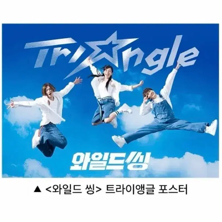 [BUNJANG] Wild Thing Triangle Poster / 와일드씽 트라이앵글 포스터