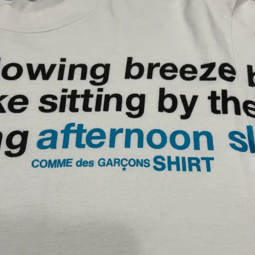 [BUNJANG] Comme des Garçons Archive "Blue Sky Napping" Short Sleeve T-Shirt / 꼼데가르송 아카이브 푸른 하늘 바다 옆 낮잠 자기 반팔 티셔츠