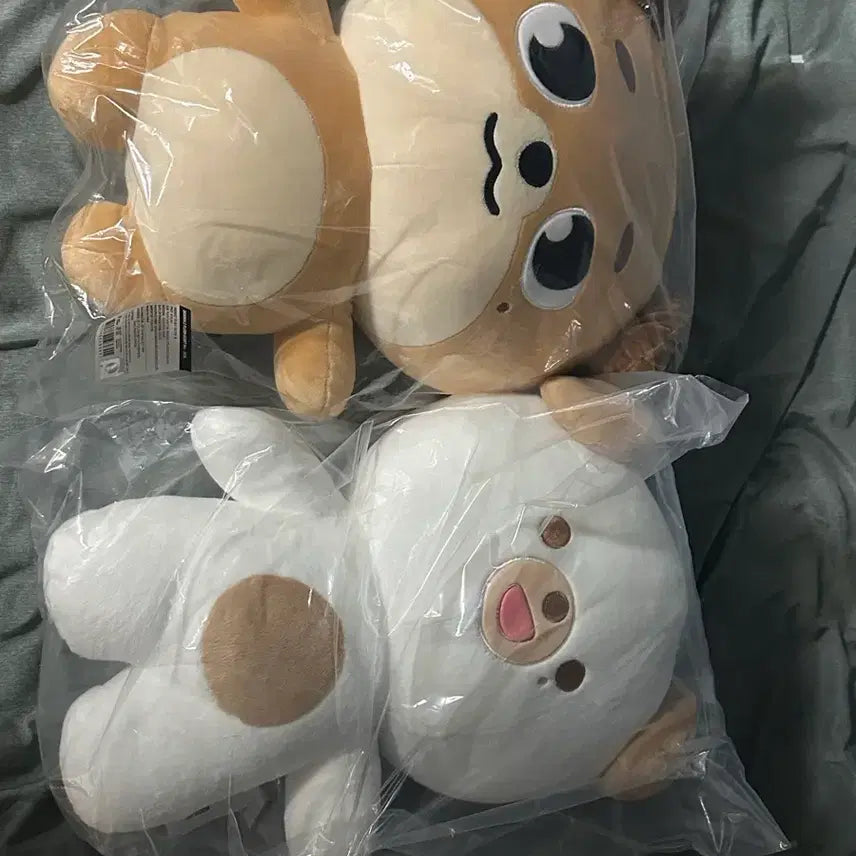 [BUNJANG] Xdinary Heroes Giant Don &amp; Petit Mal Don Plush Set with Photocard / 자이언트 돈, 쁘멀 돈 판매합니다(포토카드o)