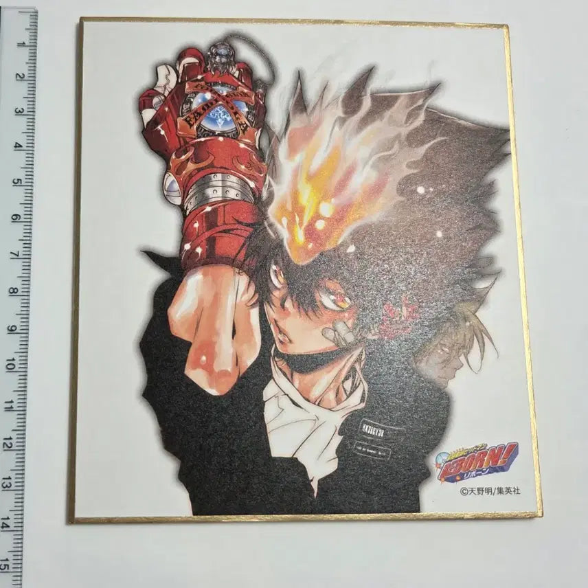 [BUNJANG] Reborn! Original Art Exhibition Shikishi / 가정교사히트맨리본 원화전 색지 판매합니다