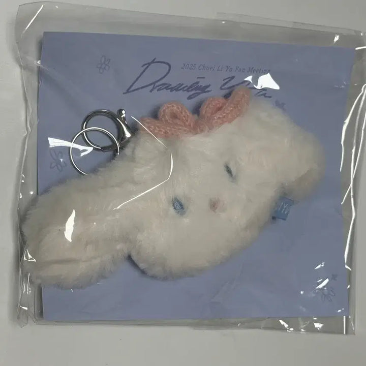 [BUNJANG] Choi Lipwoo Fan Meeting Doll Keychain / 최립우 팬미팅 인형키링