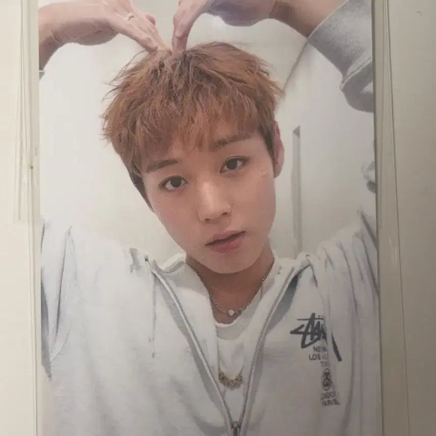 [BUNJANG] Park Ji Hoon Fancon MD Slogan Photocard / 박지훈 팬콘 엠디 슬로건 포카