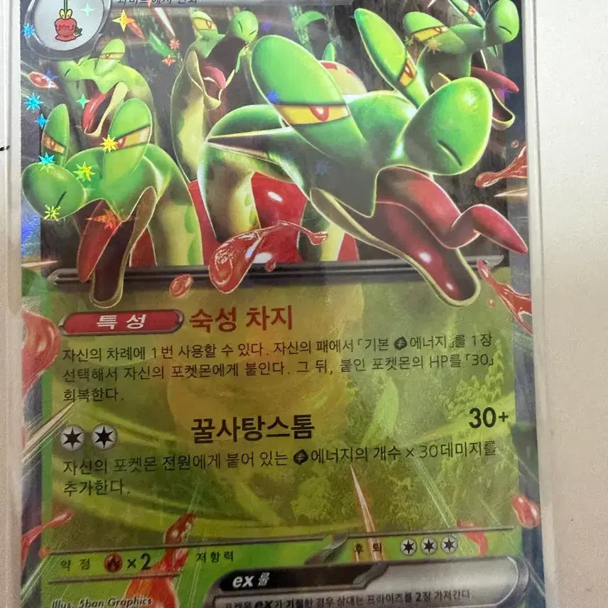 [BUNJANG] Pokemon Groudon EX 330 Card / 포켓몬 과미드라 EX 330