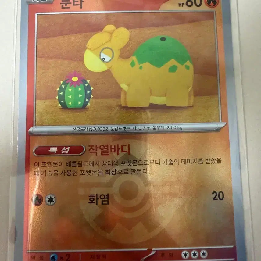 [BUNJANG] Pokemon Duntata Card / 포켓몬스터 둔타 카드