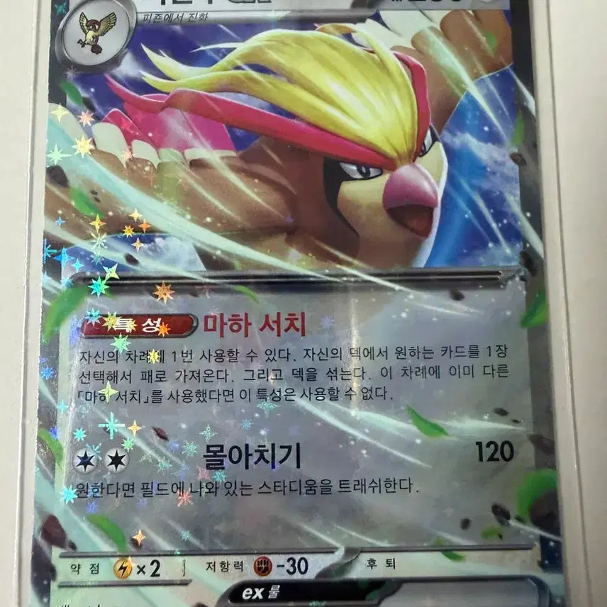 [BUNJANG] Pokemon Pidgeot EX Card / 피죤투 EX 카드