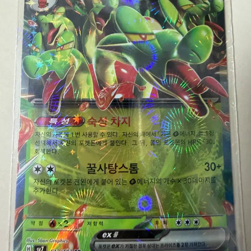 [BUNJANG] Pokemon Card Groudon EX / 포켓몬 카드 과미드라 EX