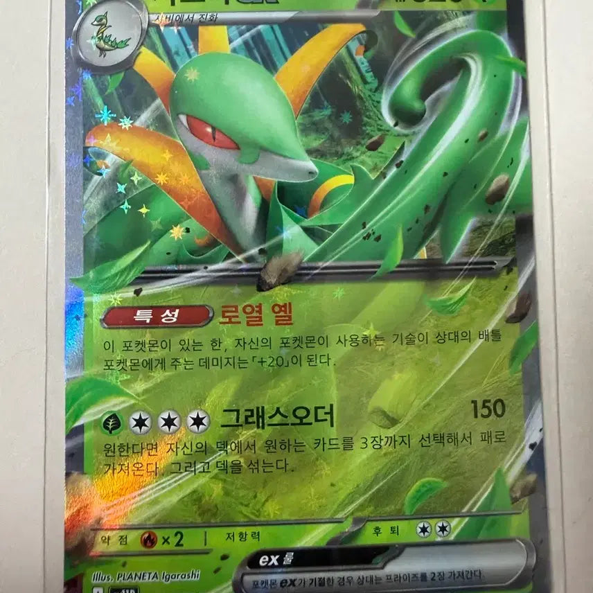 [BUNJANG] Saloada EX Pokémon Card / 사로다 EX