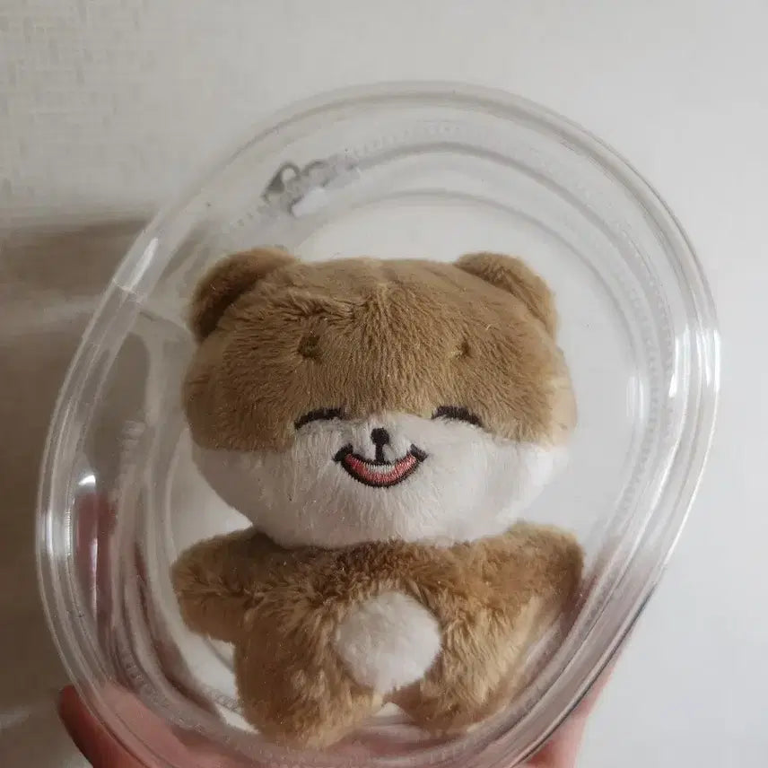 [BUNJANG] Shotaro Shotangkong Doll / 쇼타로 쇼탕콩인형 양도