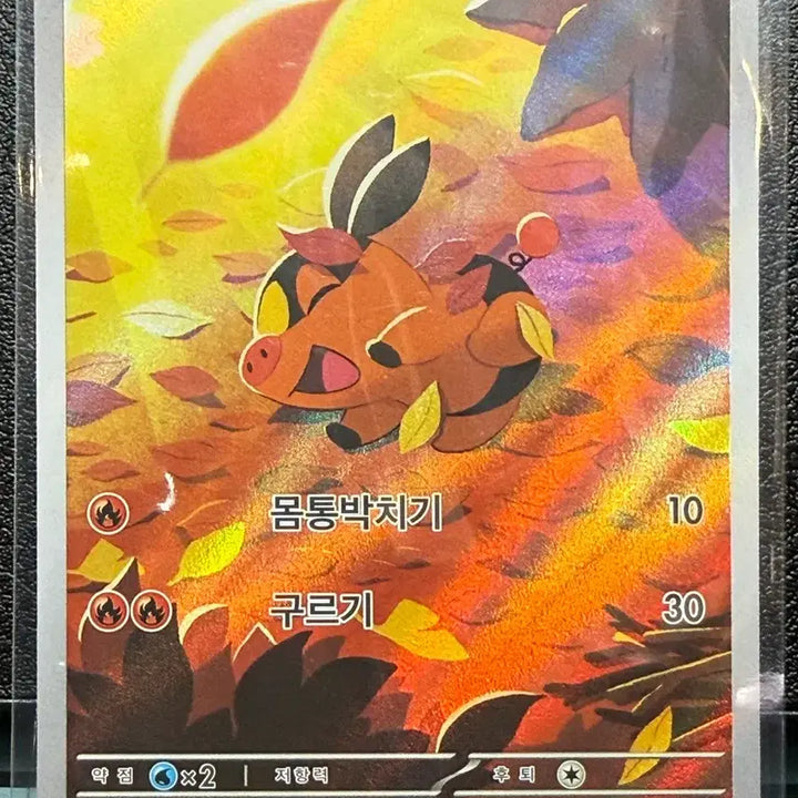 [SOLD OUT] 포켓몬카드 뚜꾸리 AR