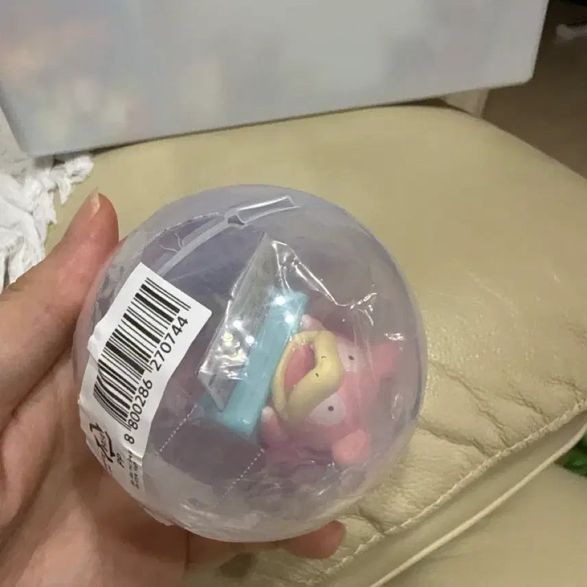 [BUNJANG] Ditto&