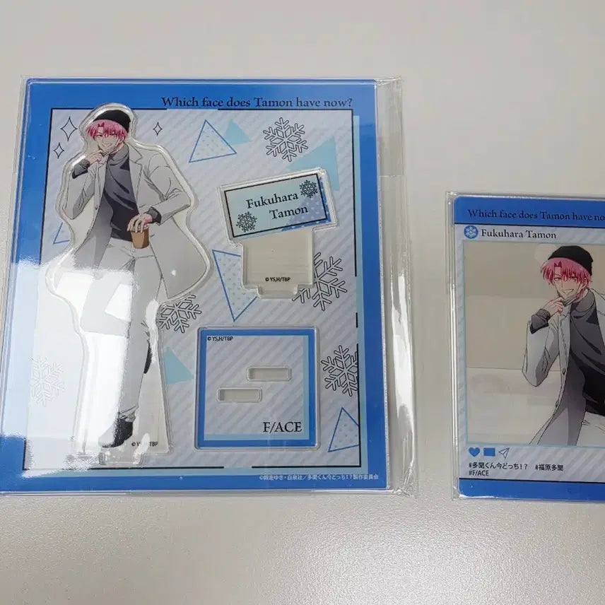 [BUNJANG] Tamon-kun Tsutaya Seasonal Winter Acrylic Stand + Acrylic Card Bundle Set (Sealed) / 타몬군 츠타야 계절 겨울 아크릴스탠드 + 아크릴카드 일괄 미개봉