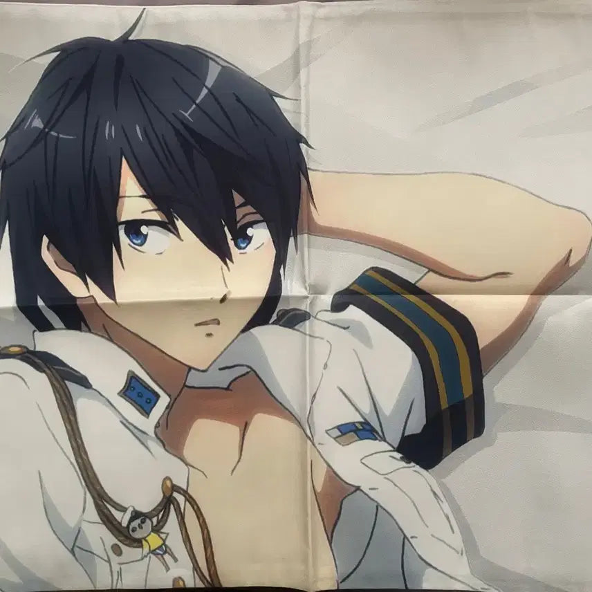 [BUNJANG] Free! Nanase Haruka Pillow Cover / Free! 프리 나나세 하루카 베개 커버