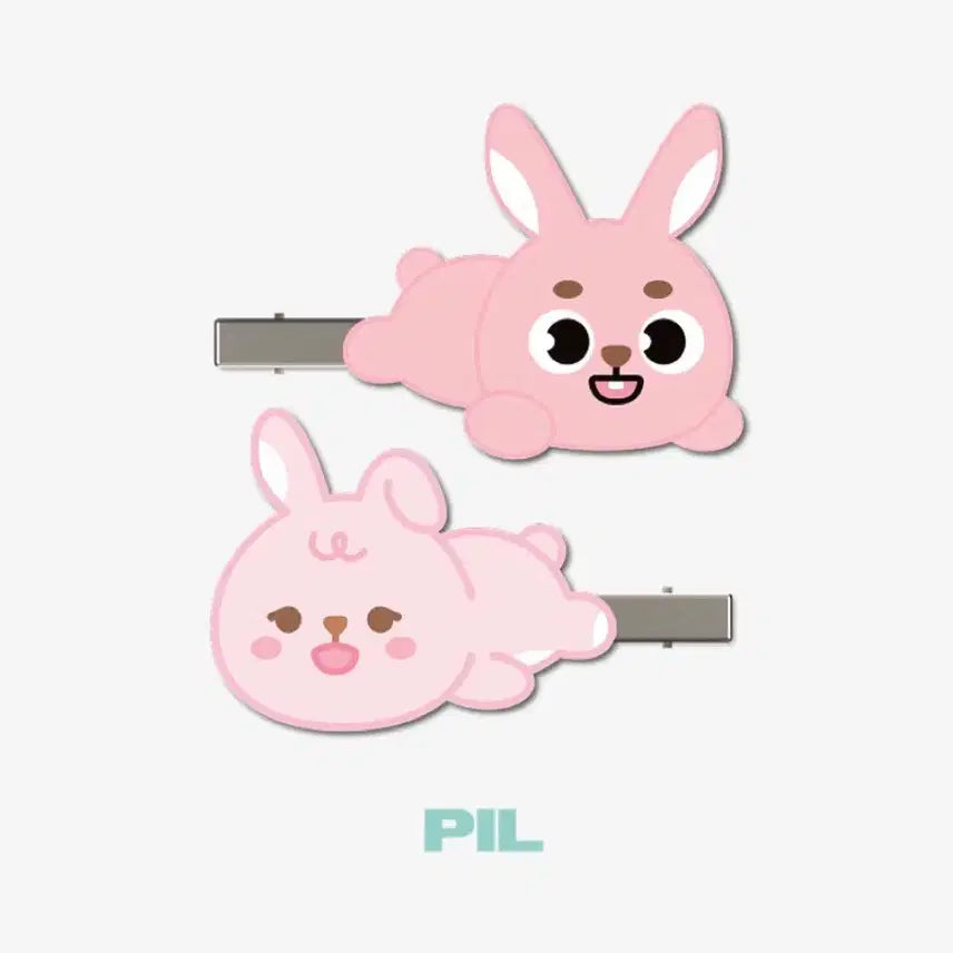 [BUNJANG] DAY6 Wonpil Pilkki Hair Clip / 데이식스 day6 헤어클립 헤어핀 원필 필끼