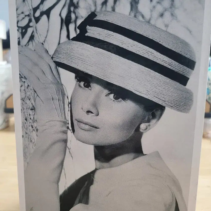 [BUNJANG] Audrey Hepburn DVD Box Set / 오드리 헵번 dvd 박스 세트