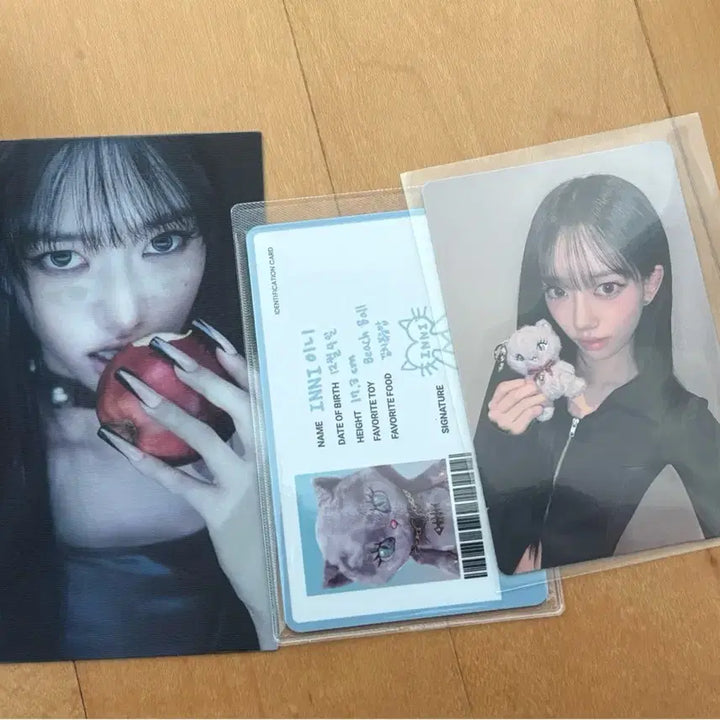 [BUNJANG] Miyaho Cat Plush Keychain Photocard / 미야오 수인 고양이 키티 플러시 인형 키링 포카