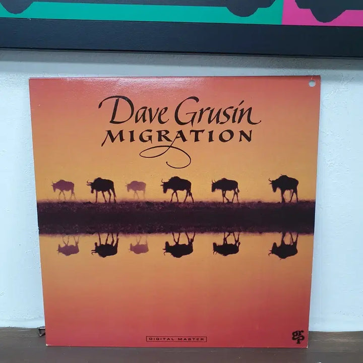 [BUNJANG] Dave Grusin Migration LP 1989 Fusion Jazz / 데이브 그루신 MIGRATION LP 1989  퓨전재즈