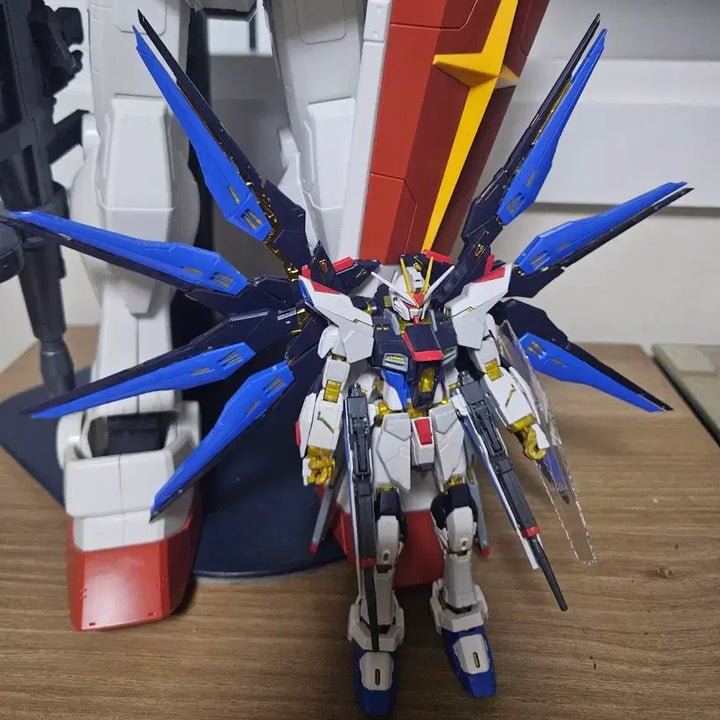 [BUNJANG] RG Strike Freedom Gundam Assembled Model Kit / [RG] 스트라이크 프리덤 건담 조립품 프라모델