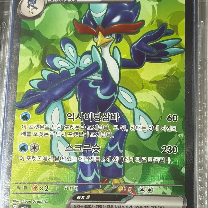 [BUNJANG] Pokemon Card Vaynel SR / 포켓몬카드 / 웨이니발 sr