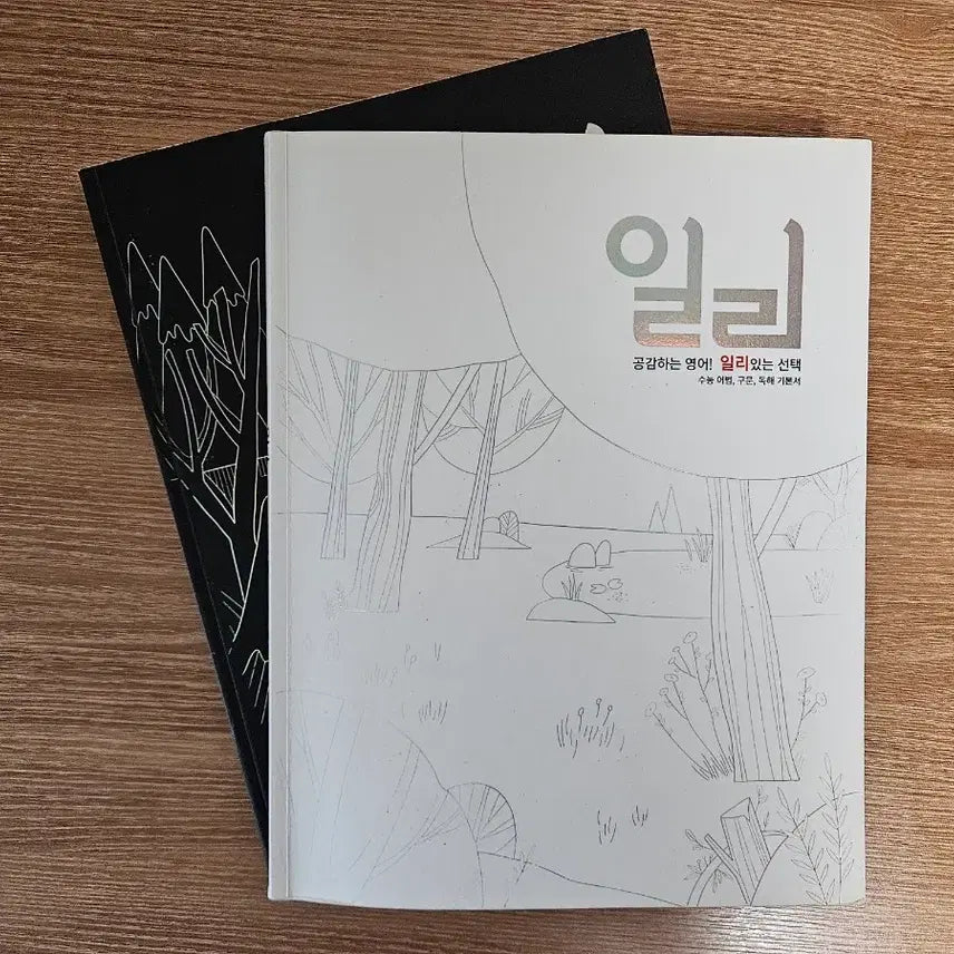 [BUNJANG] Lee Myung-hak ILI English Textbook &amp; Solution Book Set / 이명학 일리 대성마이맥 영어