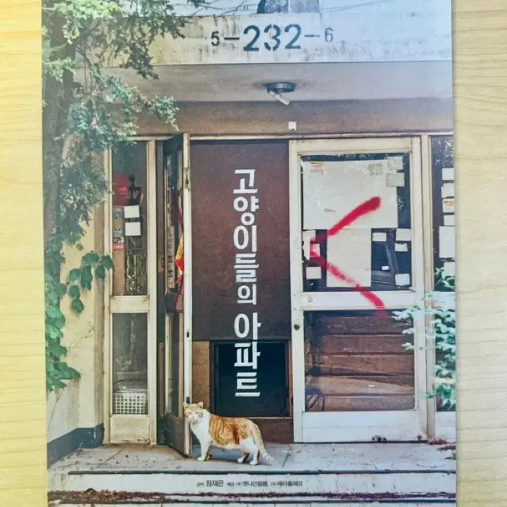 [BUNJANG] Cats&