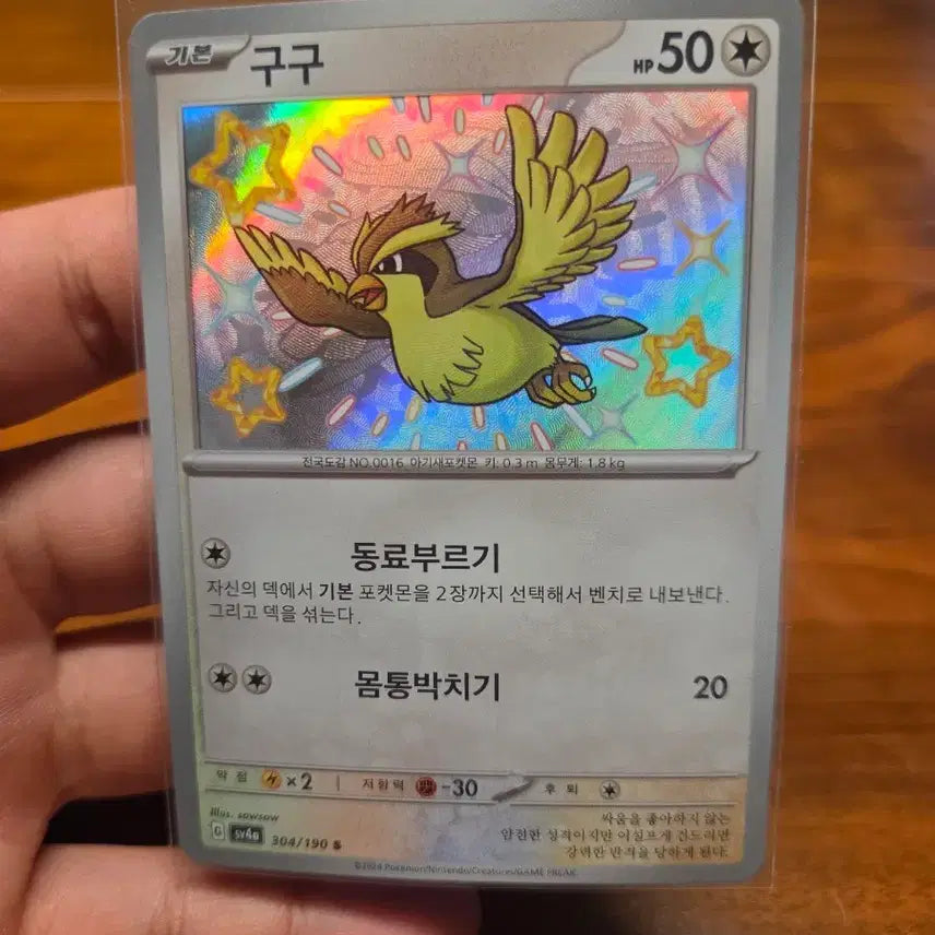 [BUNJANG] GooGoo Shiny Error Card - Shiny Pidgey Holo / 구구 이로치 에러카드 S급