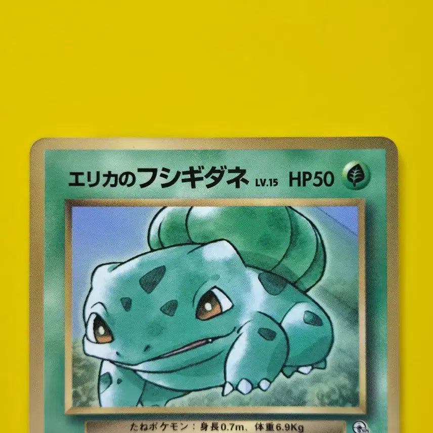 [BUNJANG] Pokemon Card Erika&