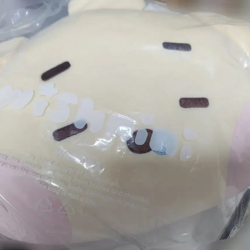 [BUNJANG] NCT WISH DENTRINI Jaehee Cushion / 엔시티 위시 위시니니 댕트리니 재희 쿠션 양도