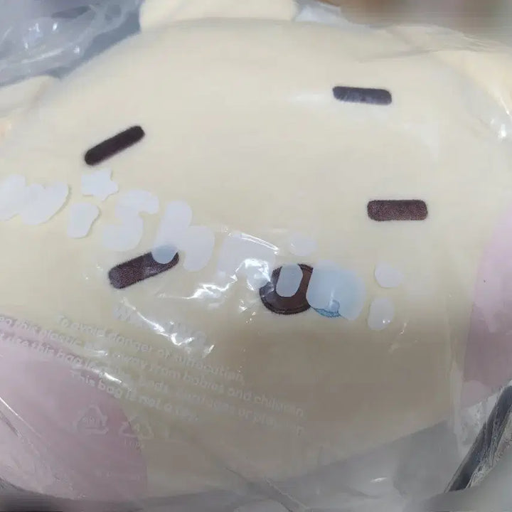 [BUNJANG] NCT WISH DENTRINI Jaehee Cushion / 엔시티 위시 위시니니 댕트리니 재희 쿠션 양도