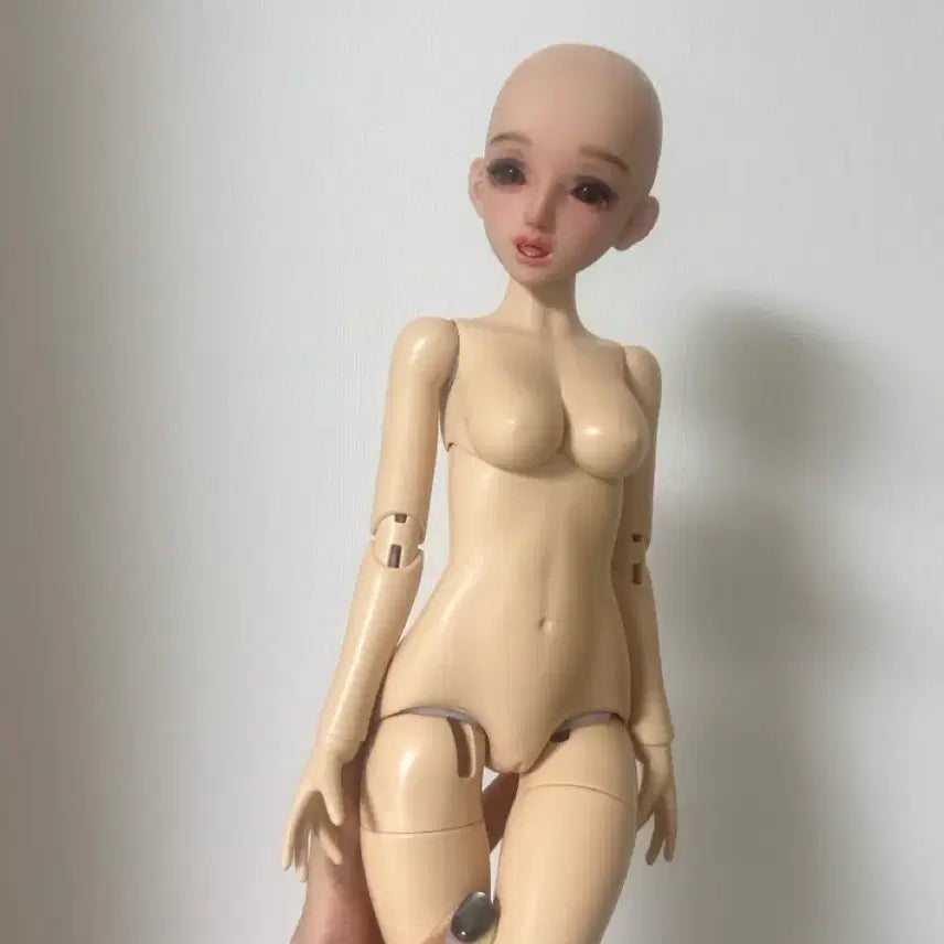 [BUNJANG] Ball-Jointed Doll / 구체관절인형