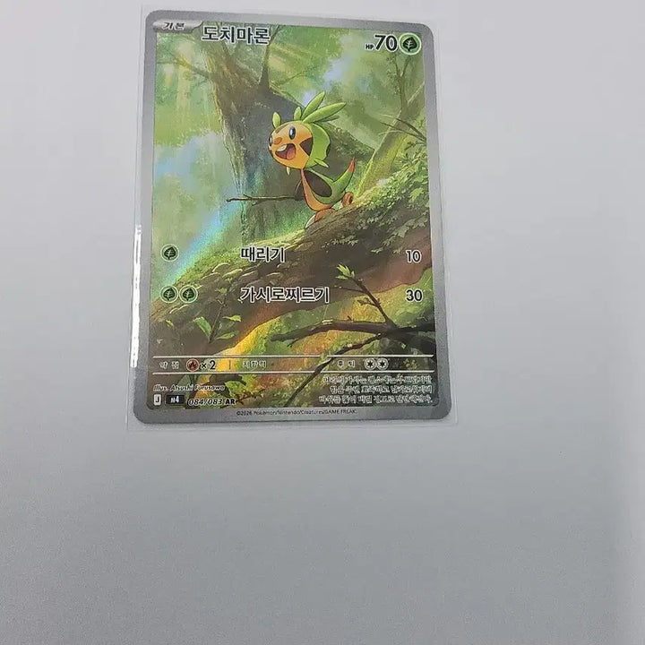 [BUNJANG] Pokemon Card Chespin AR / 포켓몬카드 도치마론 ar