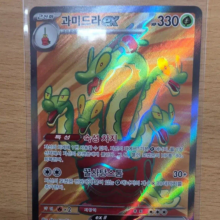 [BUNJANG] Groudon EX 115/102 SR Pokémon Card / 과미드라 EX 115/102 SR