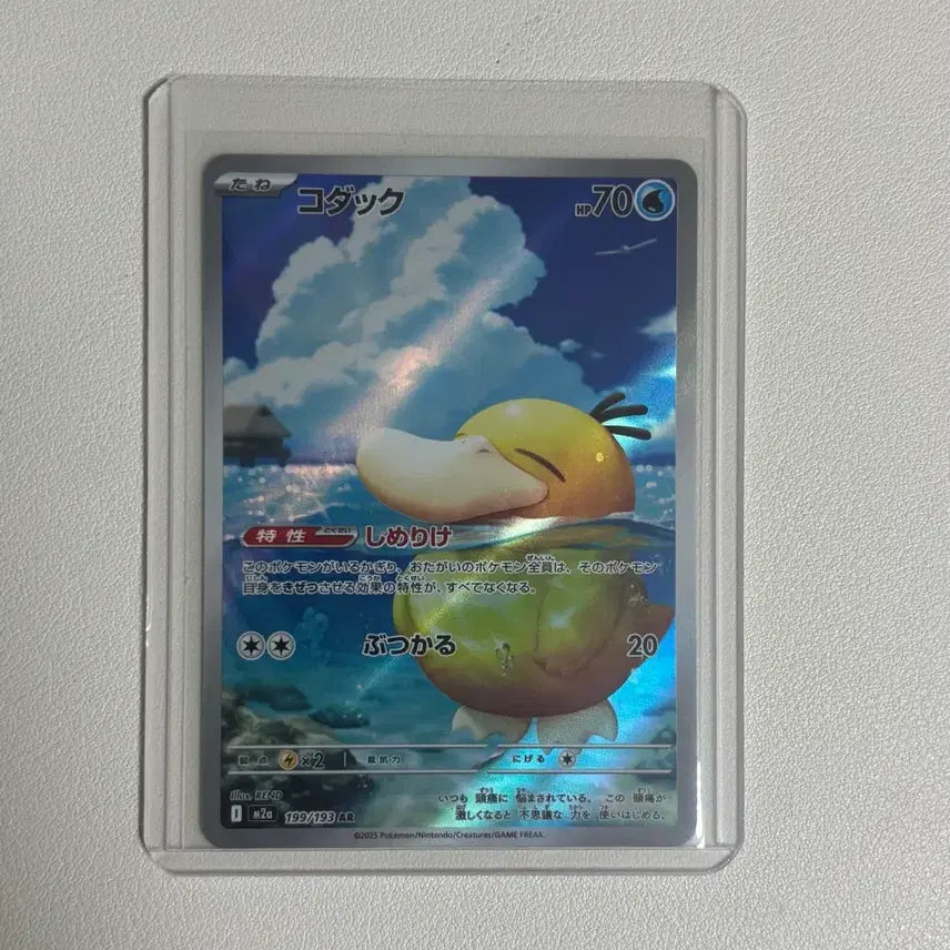 [SOLD OUT] 포켓몬카드 고라파덕 ar 일판 판매