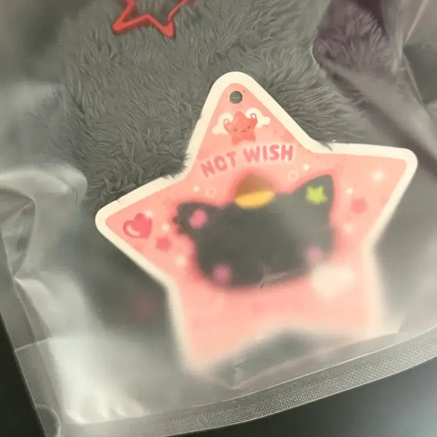 [BUNJANG] Wish Dolls Kuri (Riku) Kuri Original Riku NCT Wish Keyring / 위시돌 쿠리 재판 쿠리 오리지널 리쿠 엔시티 위시 키링