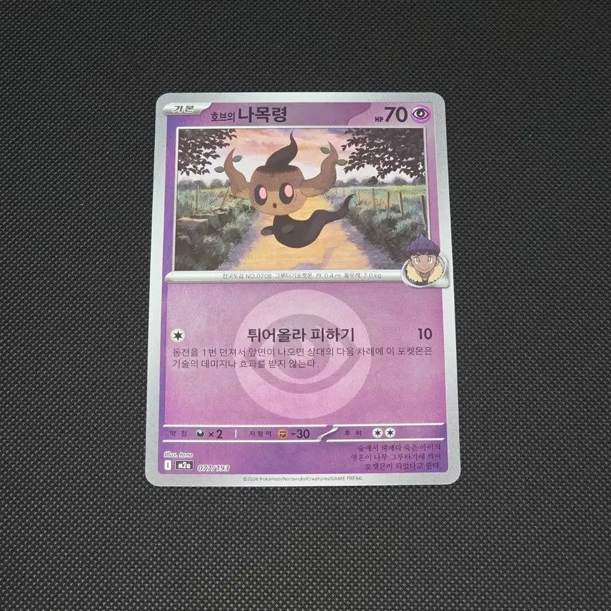 [BUNJANG] Pokemon Card Hob&