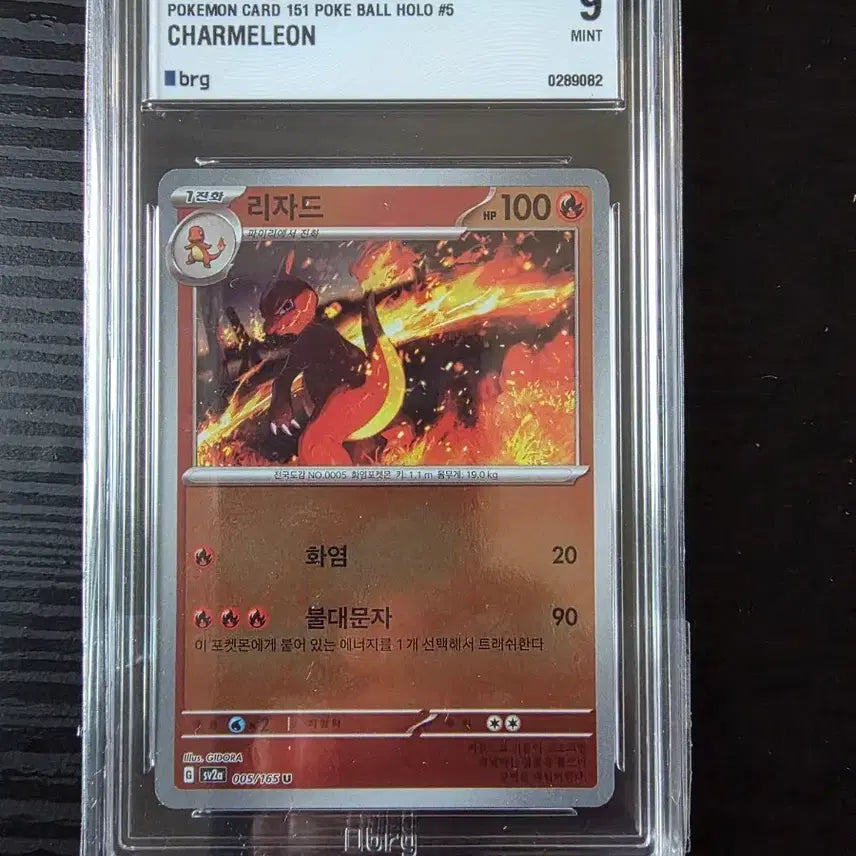 [BUNJANG] 2023 Pokemon Card Lizardon 9 MINT BRG Graded Card / 2023 포켓몬 카드 리자드 brg 9 MINT