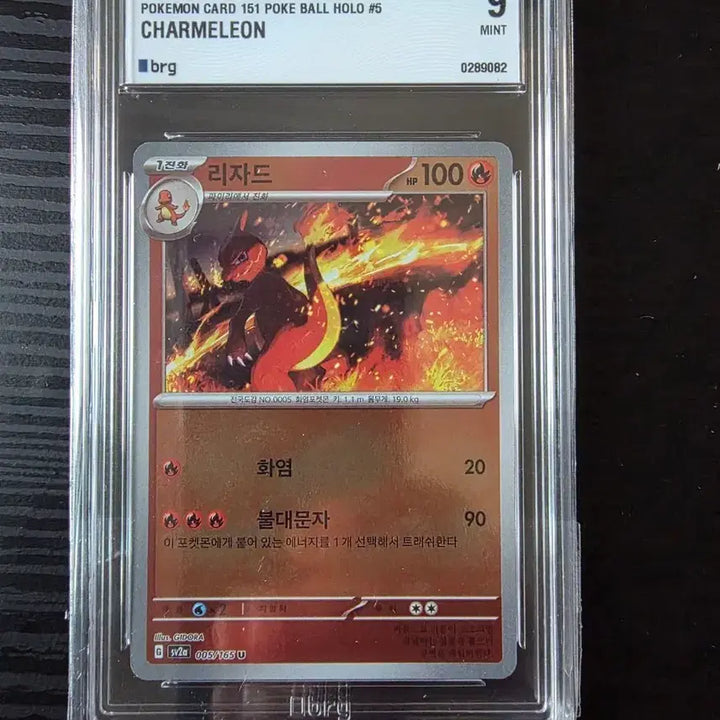[BUNJANG] 2023 Pokemon Card Lizardon 9 MINT BRG Graded Card / 2023 포켓몬 카드 리자드 brg 9 MINT
