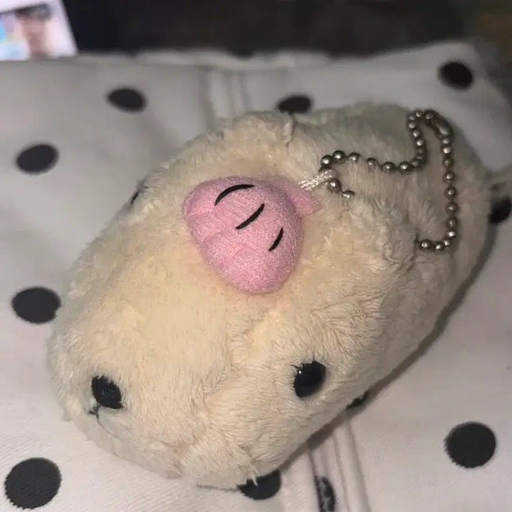 [BUNJANG] Capybara White Sang Clam Classic Doll / 카피바라상 화이트상 조개 고전 인형