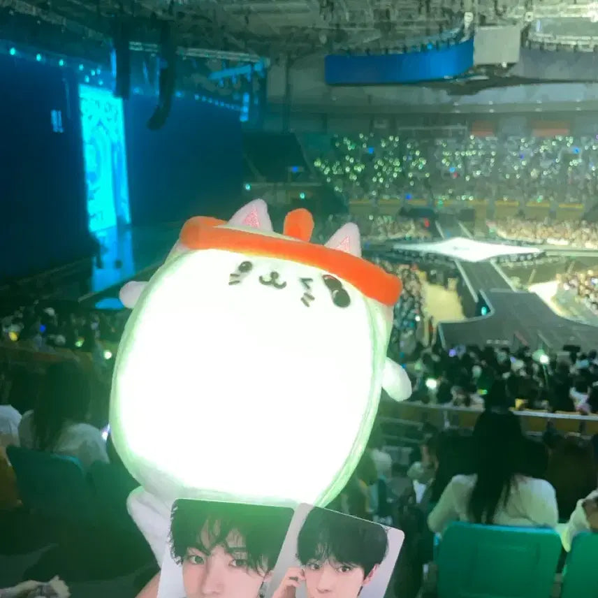 [BUNJANG] Yushi Bubble Cat Ver. 2 Lightstick Cape / 유우시 응원봉 케이프 버블냥 케이프