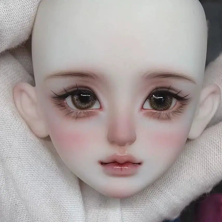 [SOLD OUT] 구관 msd 미아백 헤드 구체관절인형