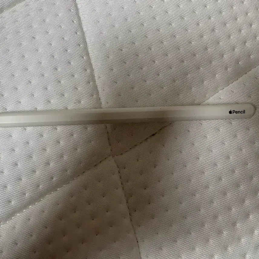 [BUNJANG] Apple iPad Air 4th Gen 64GB Wi-Fi + Apple Pencil 2nd Gen / 아이패드 에어